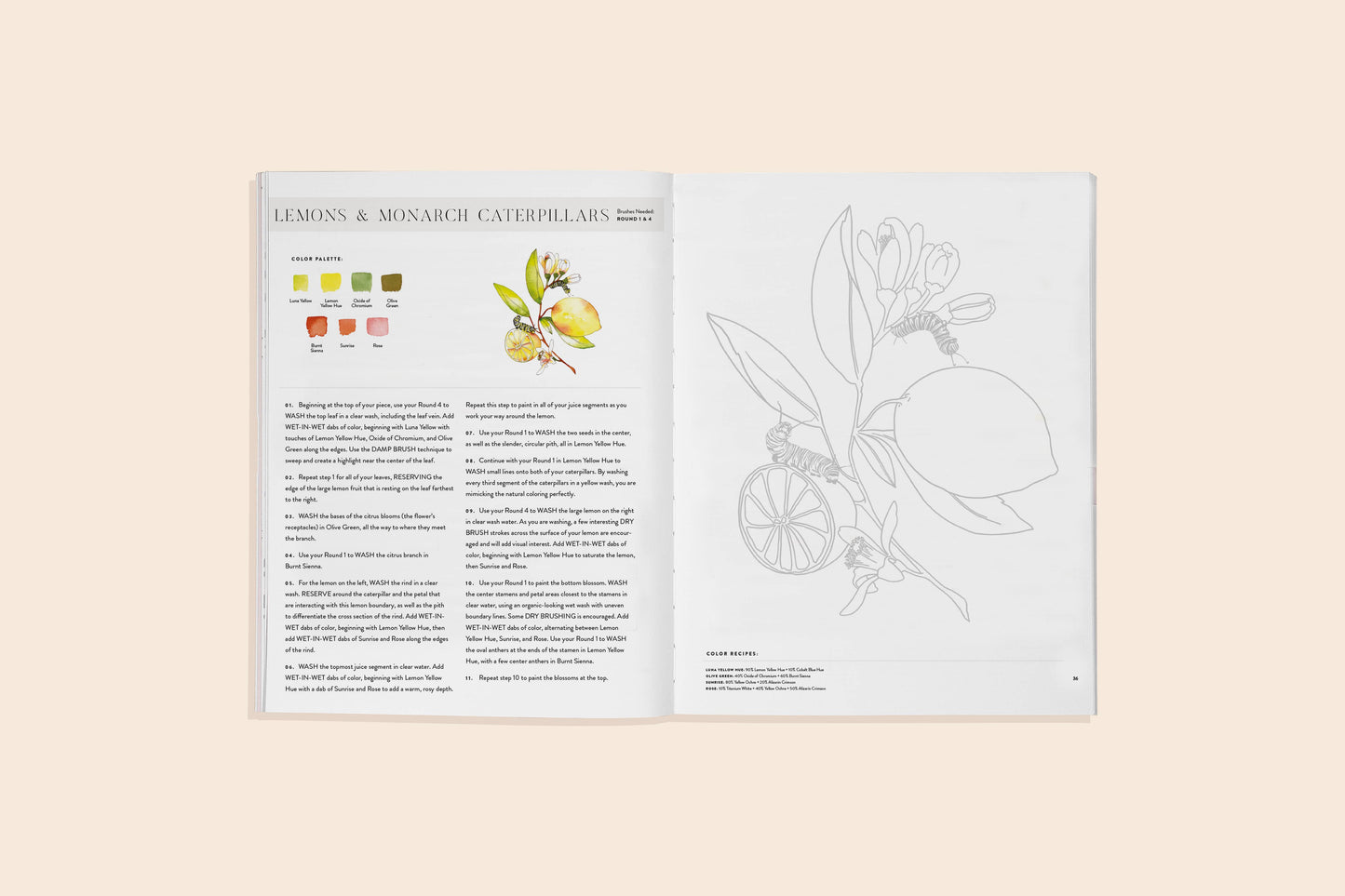 Watercolor Workbook: Flowers, Feathers & Animal Friends