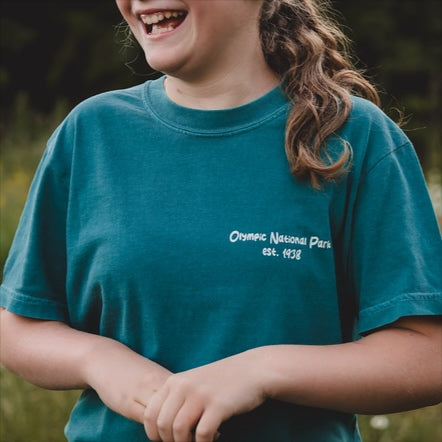 Olympic National Park Icons T-shirt in Teal