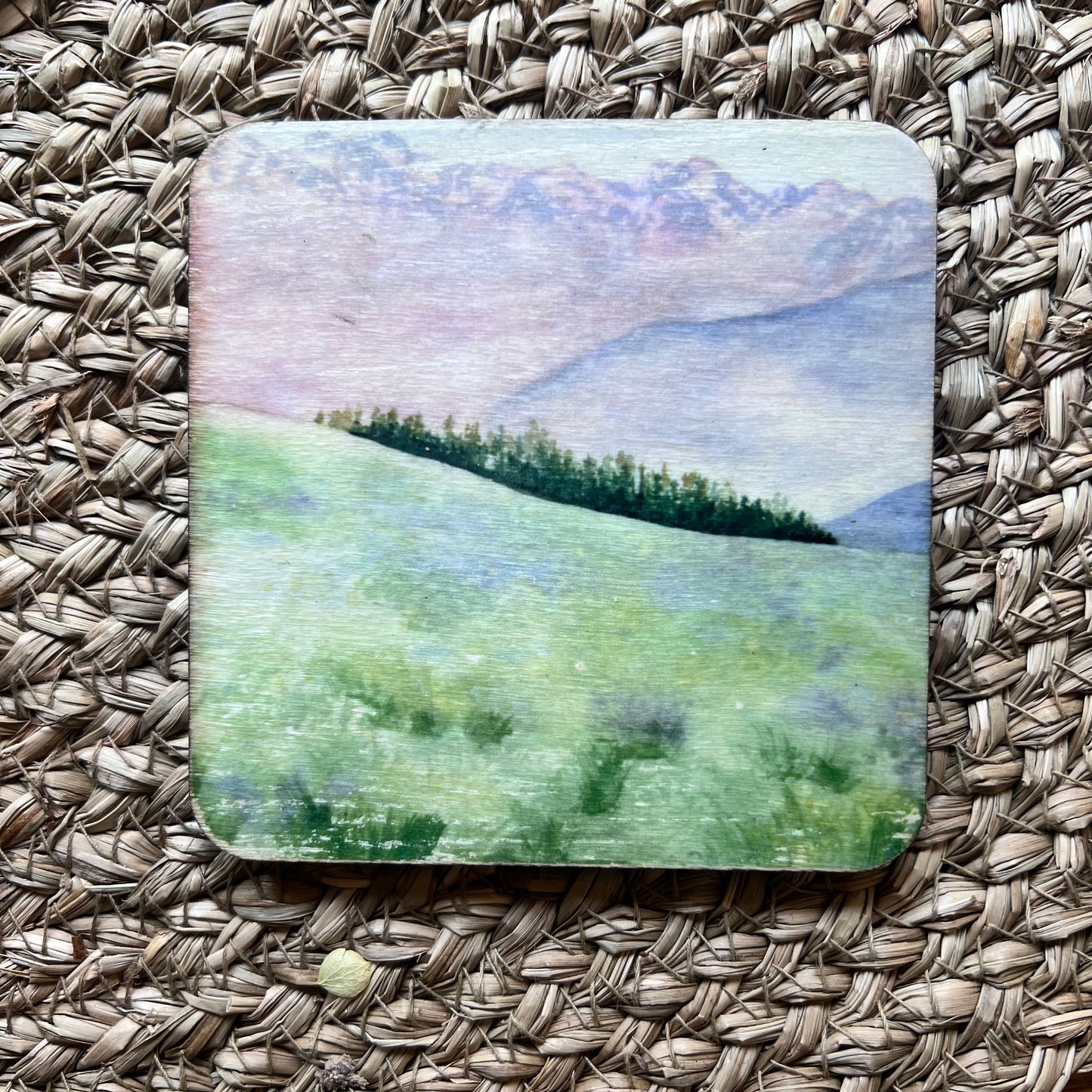 Wood Painted Coasters