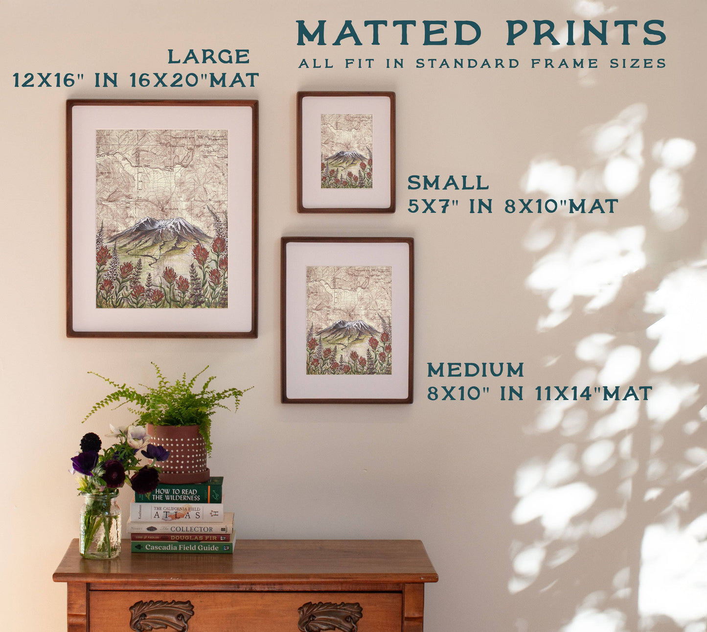 Mt St Helens Wildflowers Print