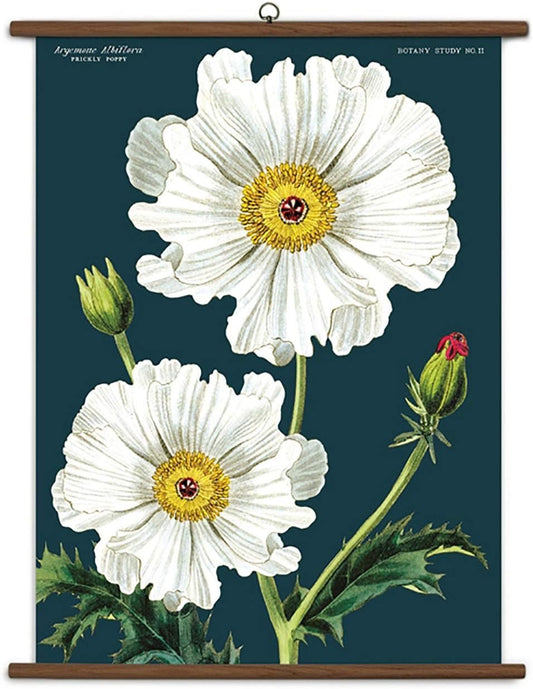 Botany Vintage School Chart