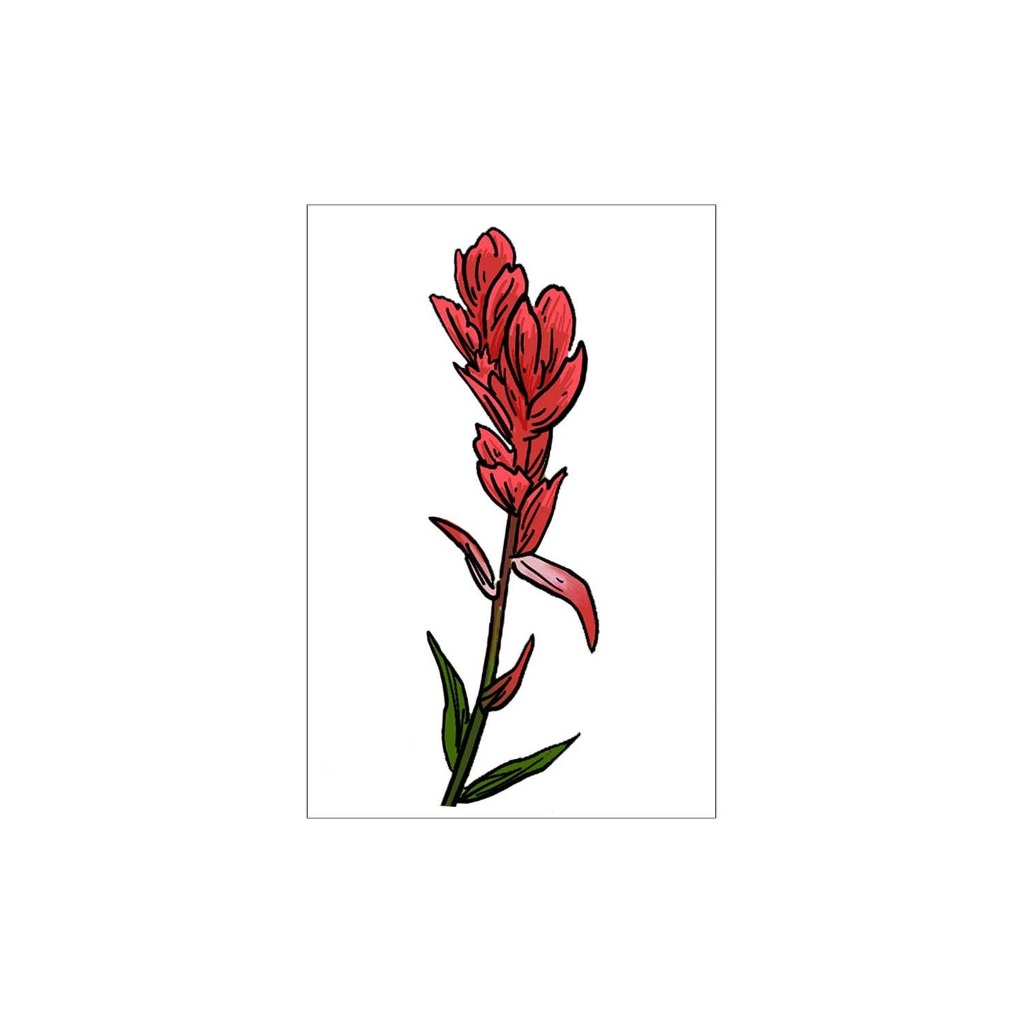 Indian Paintbrush Temporary Tattoo