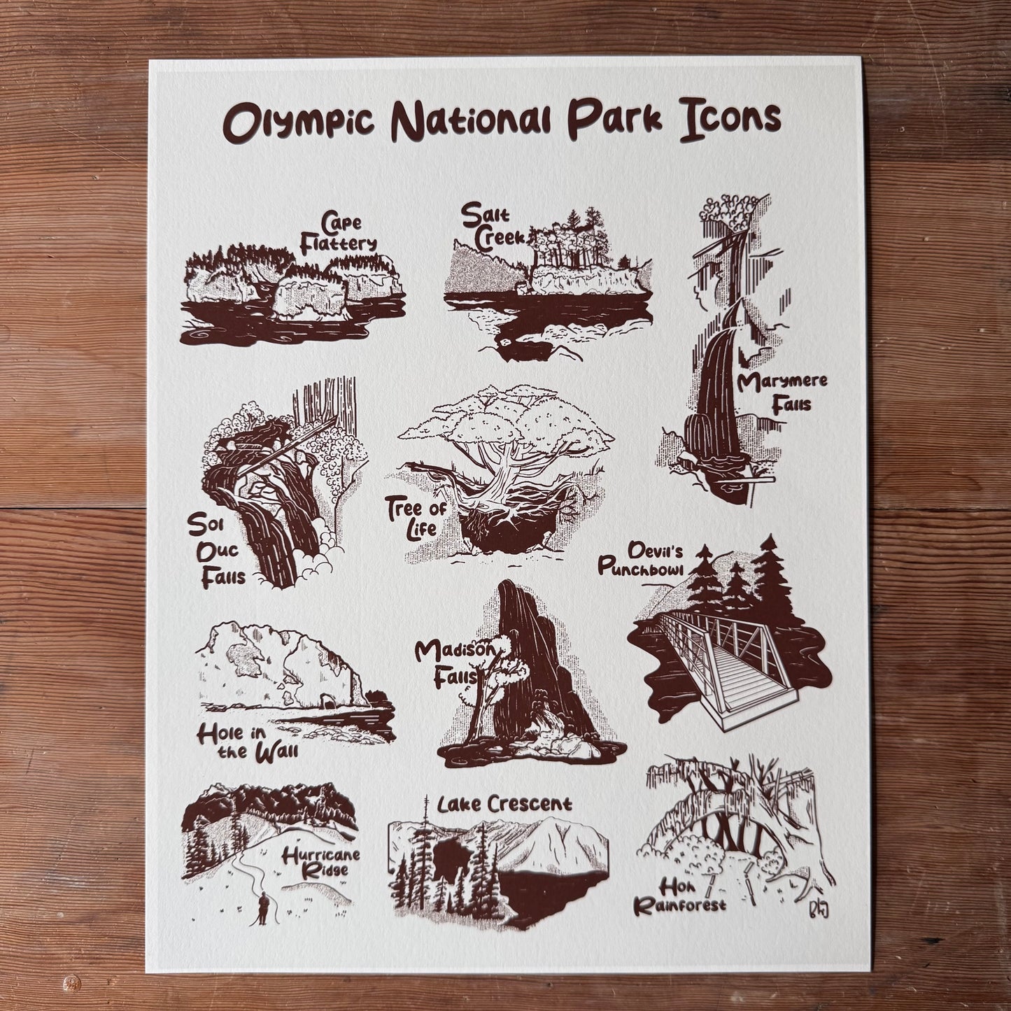 Olympic National Park Icons Print