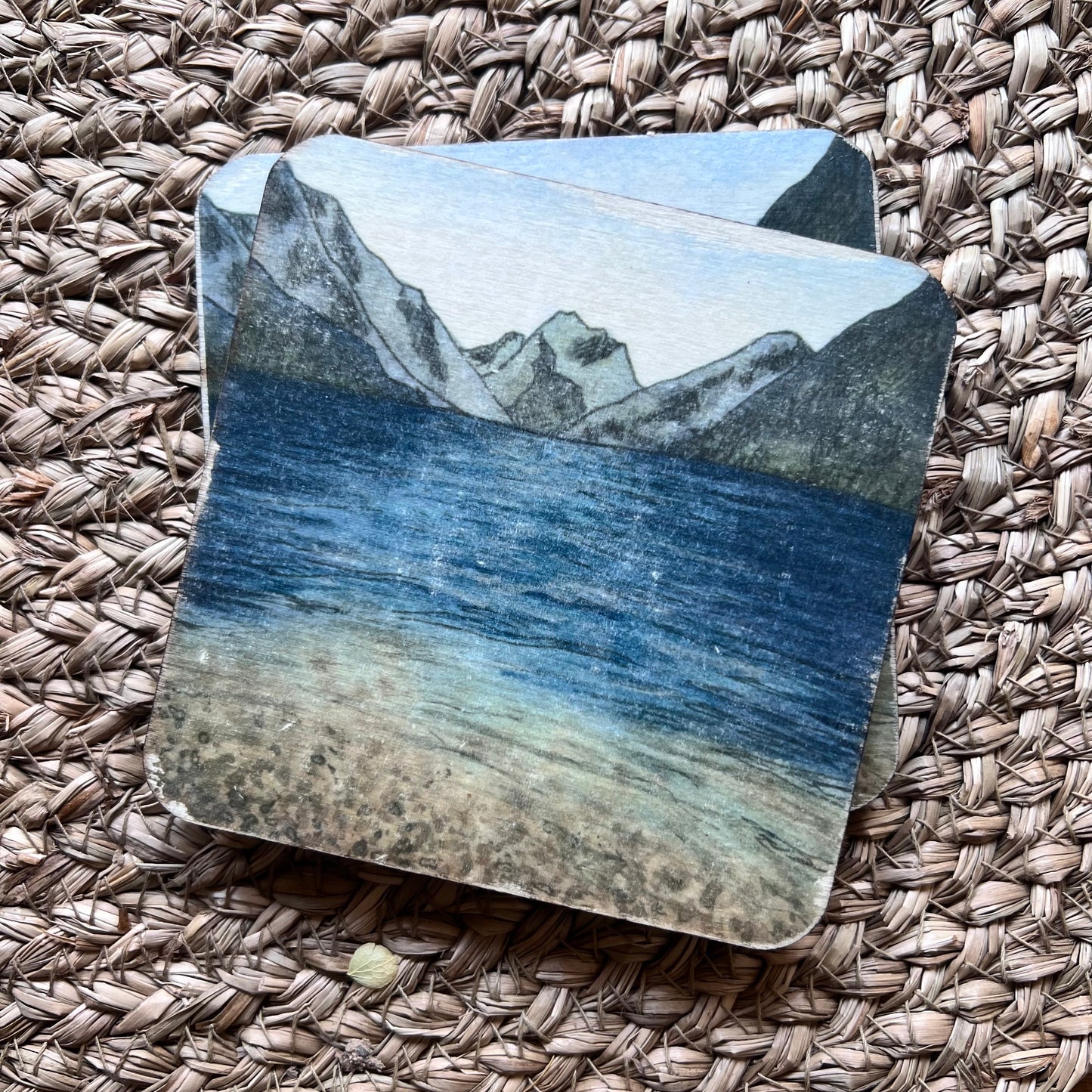 Wood Painted Coasters