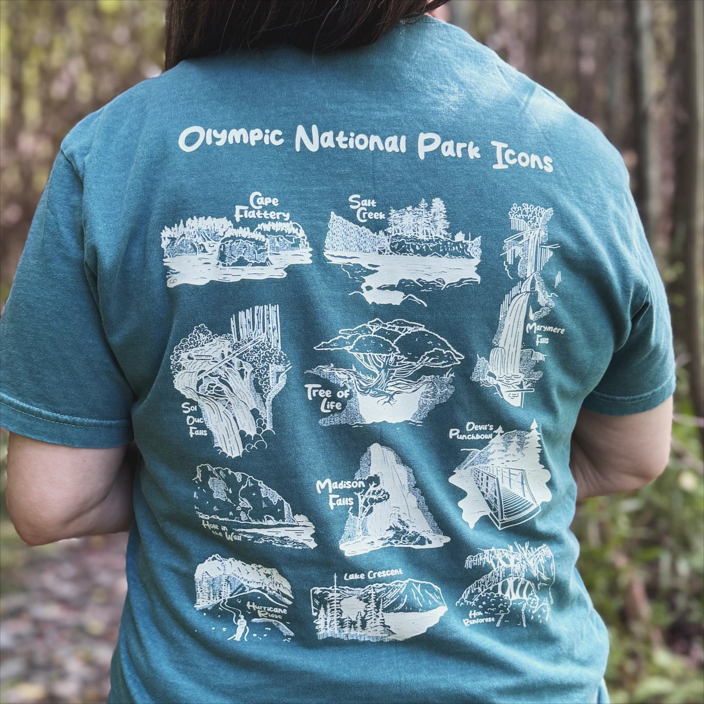 Olympic National Park Icons T-shirt in Teal