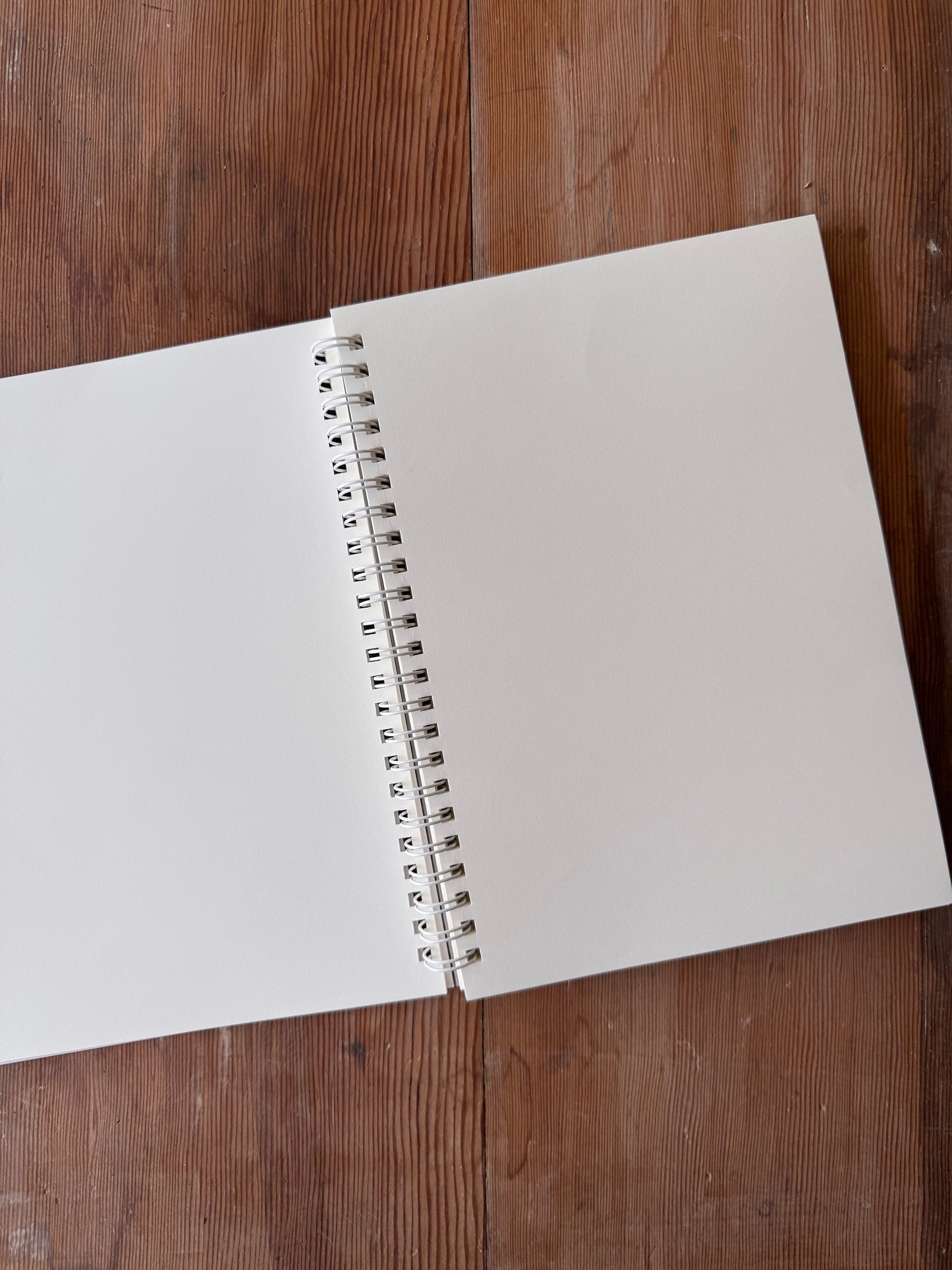 Olympics at Dusk Notebook