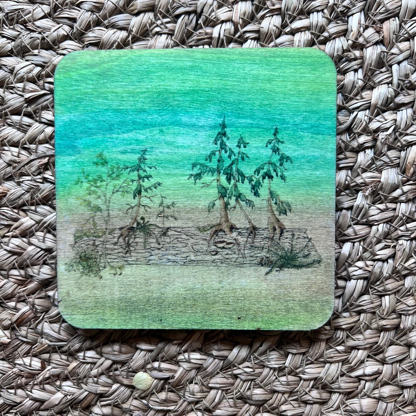 Wood Painted Coasters