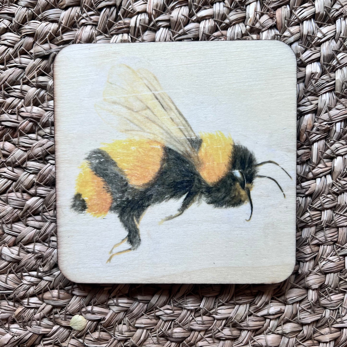 Wood Painted Coasters