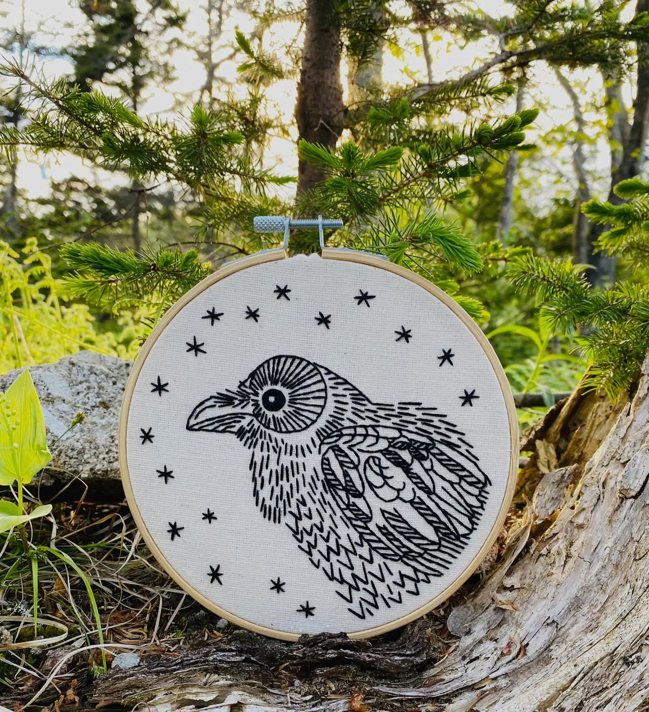Raven - Nevermore Complete Embroidery Kit