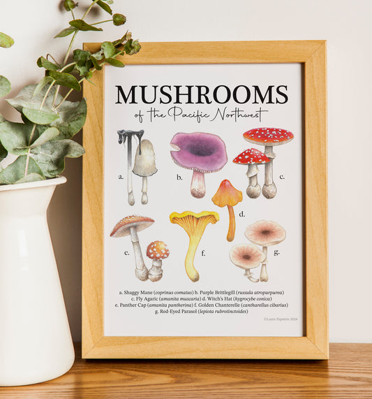 Mushrooms of the Pacific Northwest Print