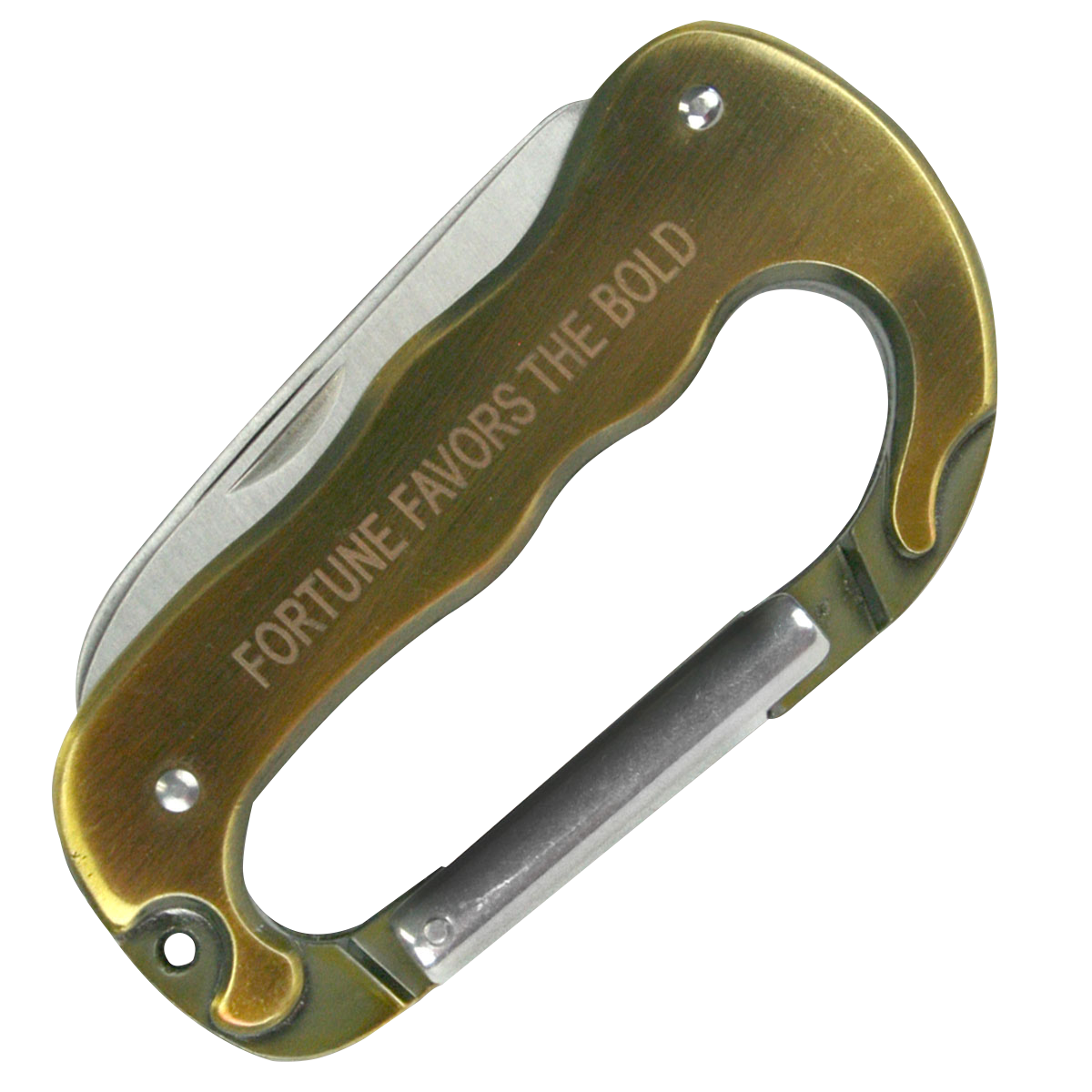 Carabiner Multi-Tool