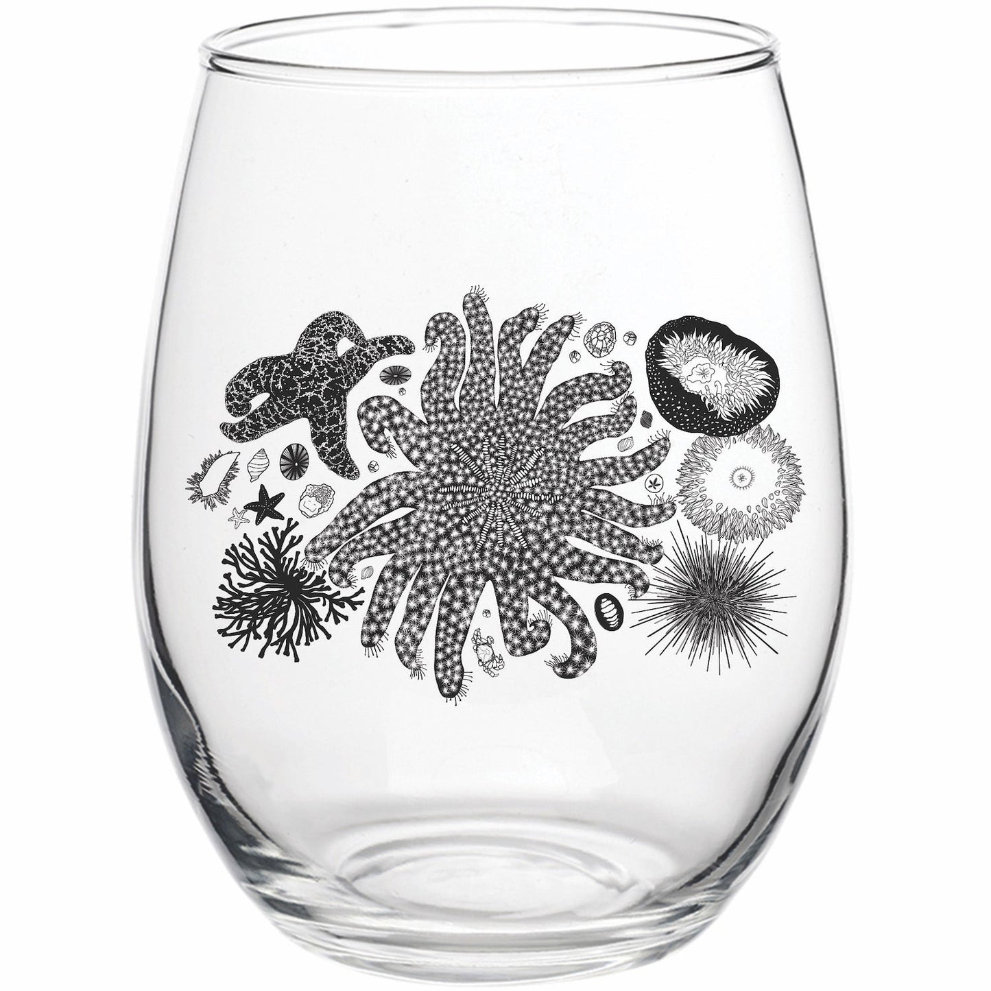 Tide Pool Treasures Wine Glass