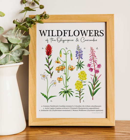 Wildflowers of the Olympics & Cascades Print
