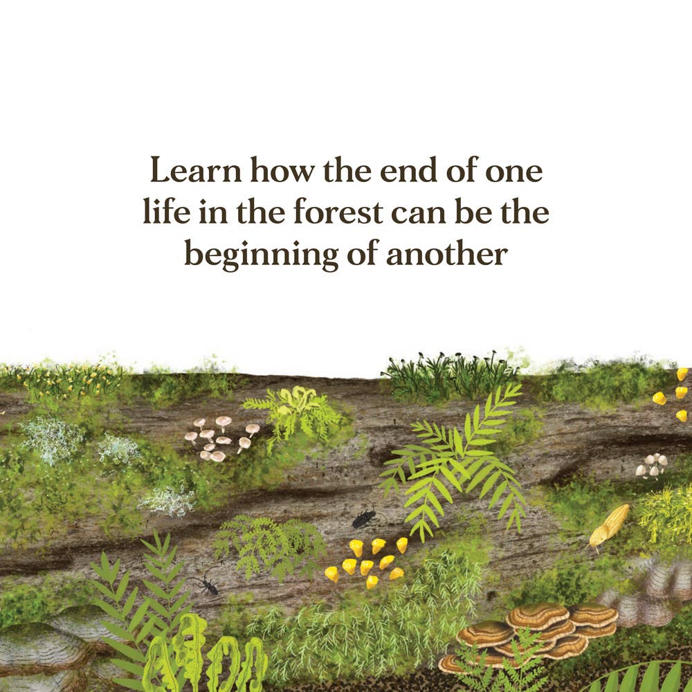 When a Tree Falls
