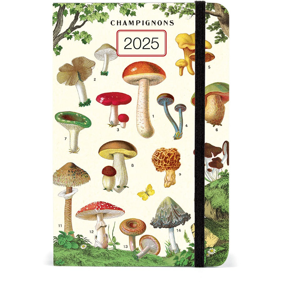 2025 Mushrooms Weekly Planner