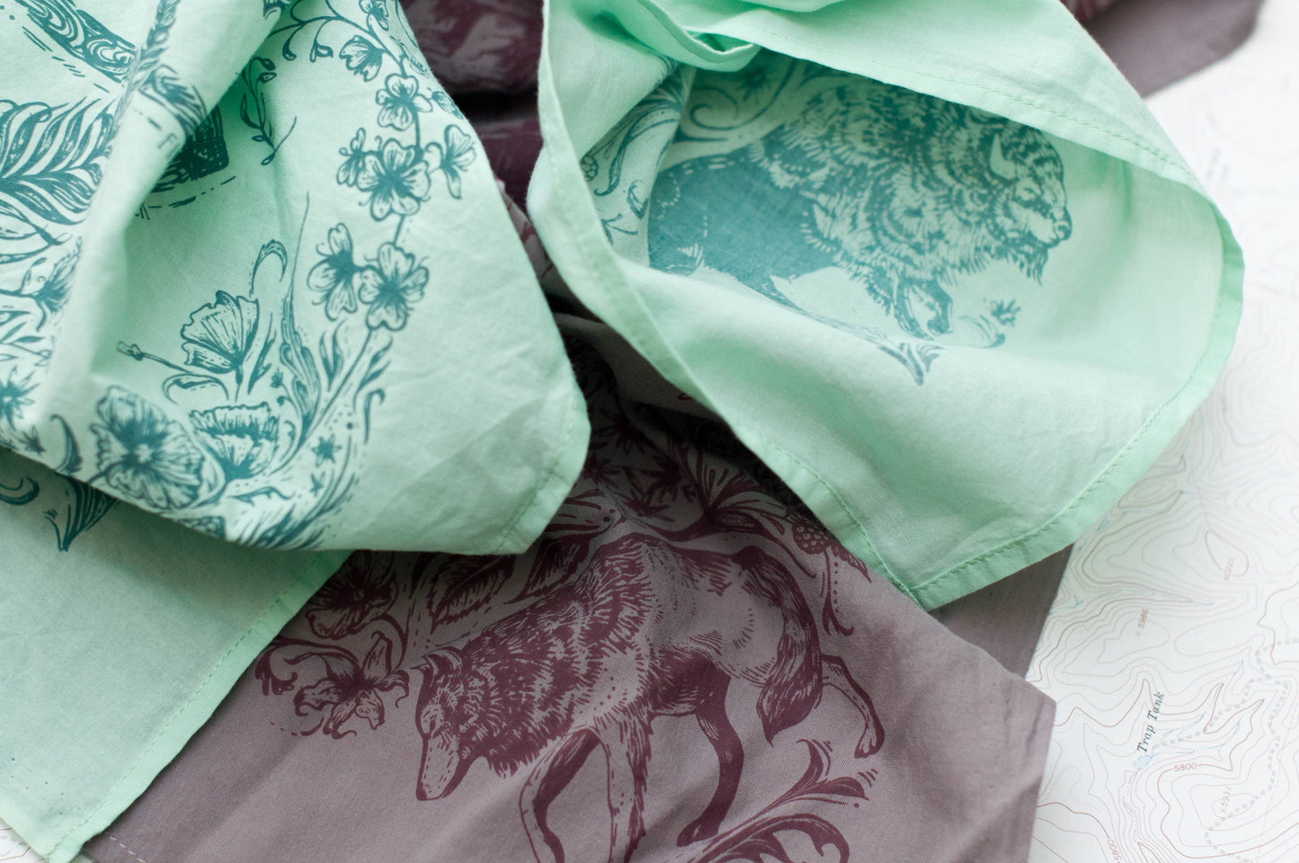 Backcountry Bandana in Mint