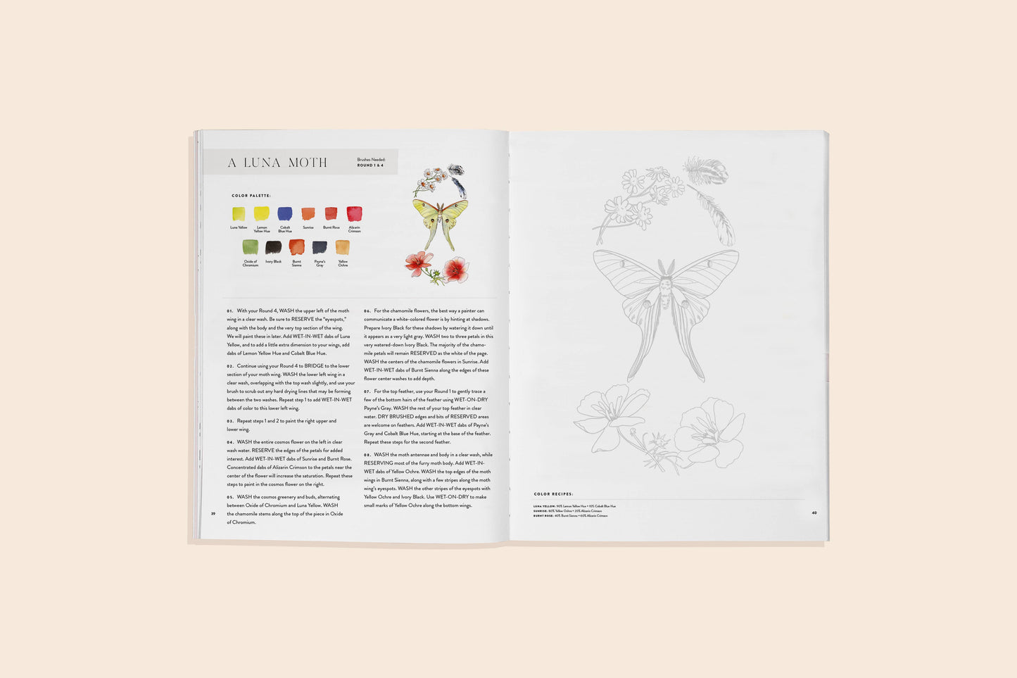 Watercolor Workbook: Flowers, Feathers & Animal Friends