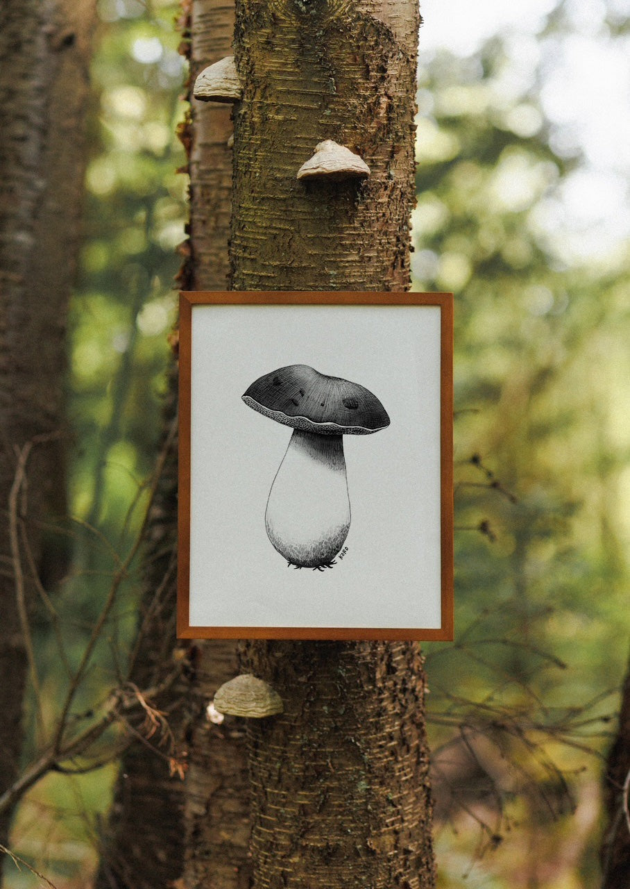 Bolete Mushroom Print 8x10