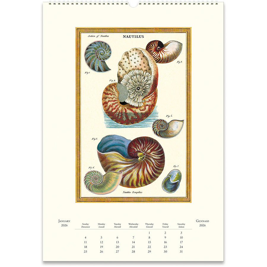2026 Sea Life Wall Calendar