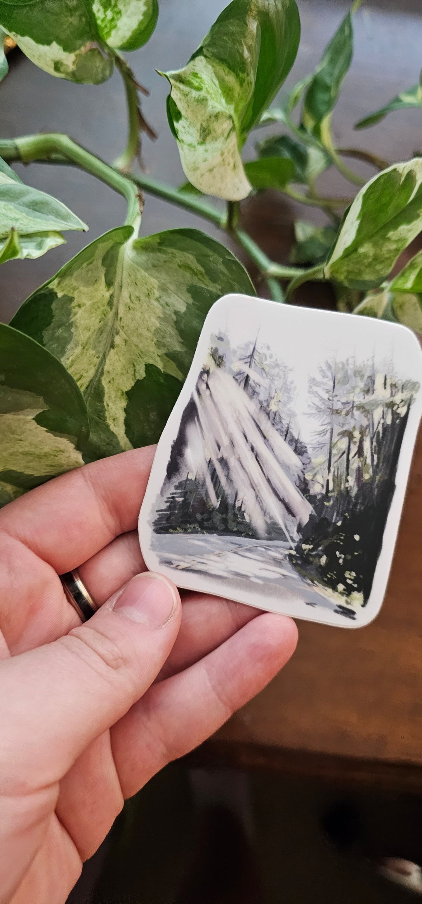 Sunny Forest Road Sticker