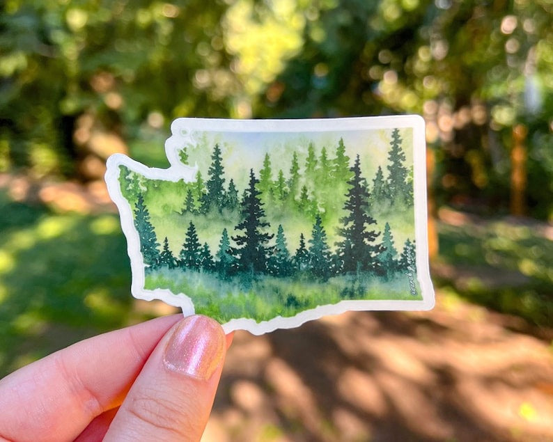 Washington State Evergeen Sticker