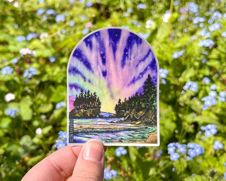 Salt Creek Aurora Sticker