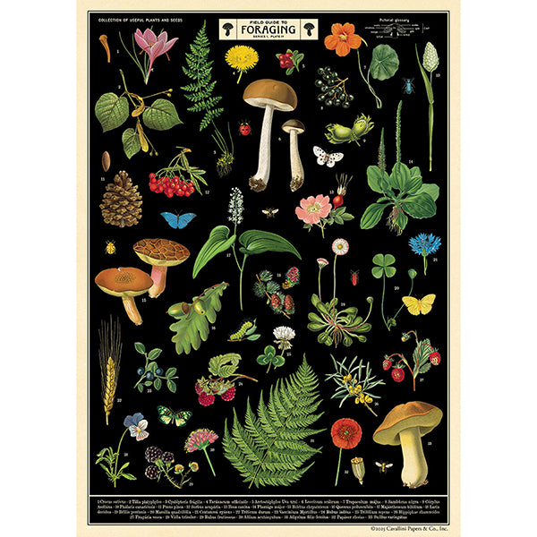 Field Guide to Foraging Poster/ Wrap