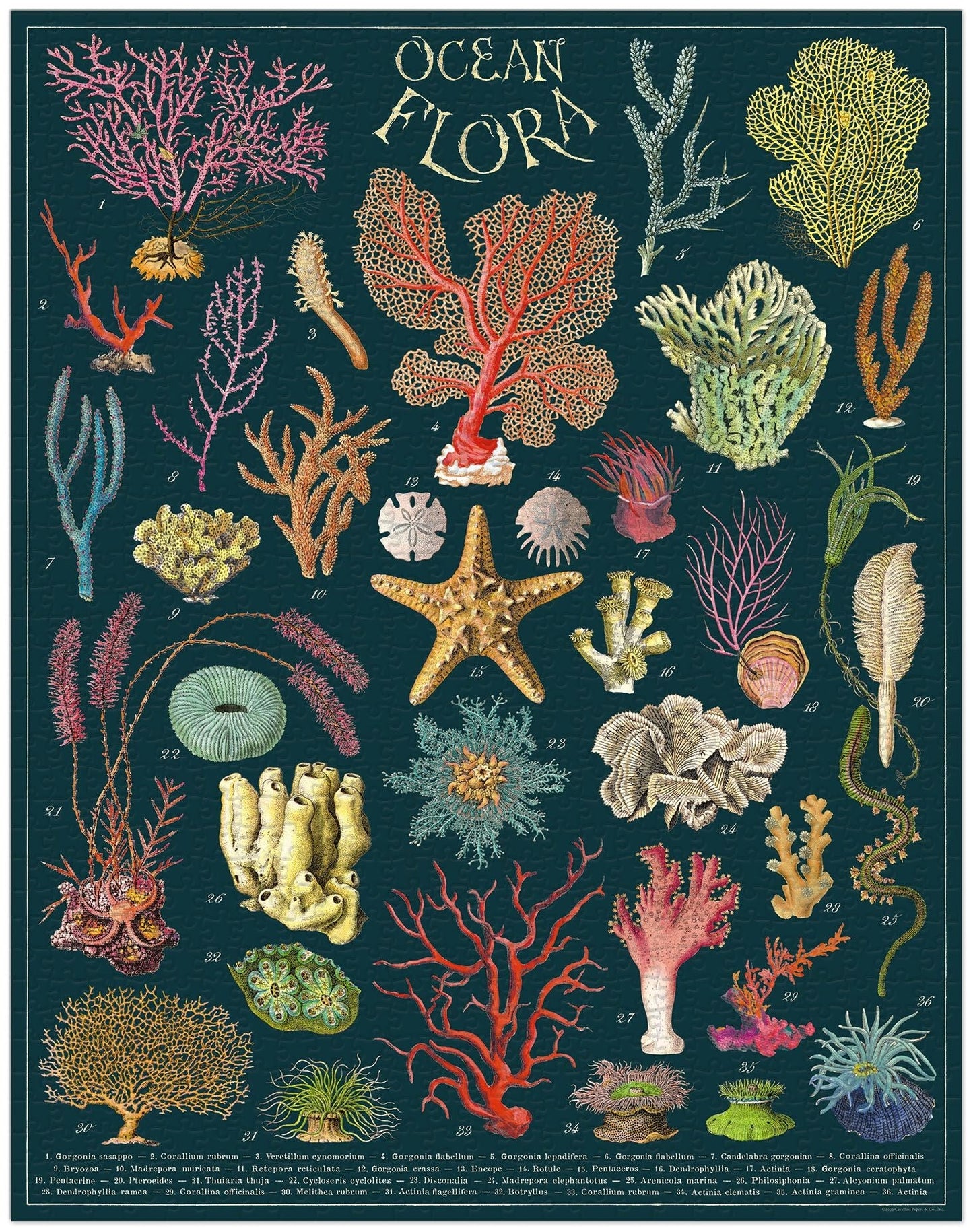 Ocean Flora 1,000 Piece Puzzle