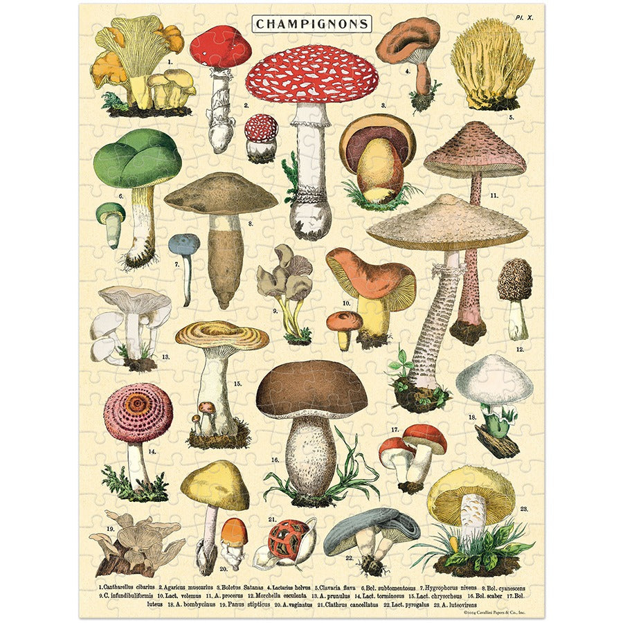 Mushroom Mini 240 Piece Puzzle