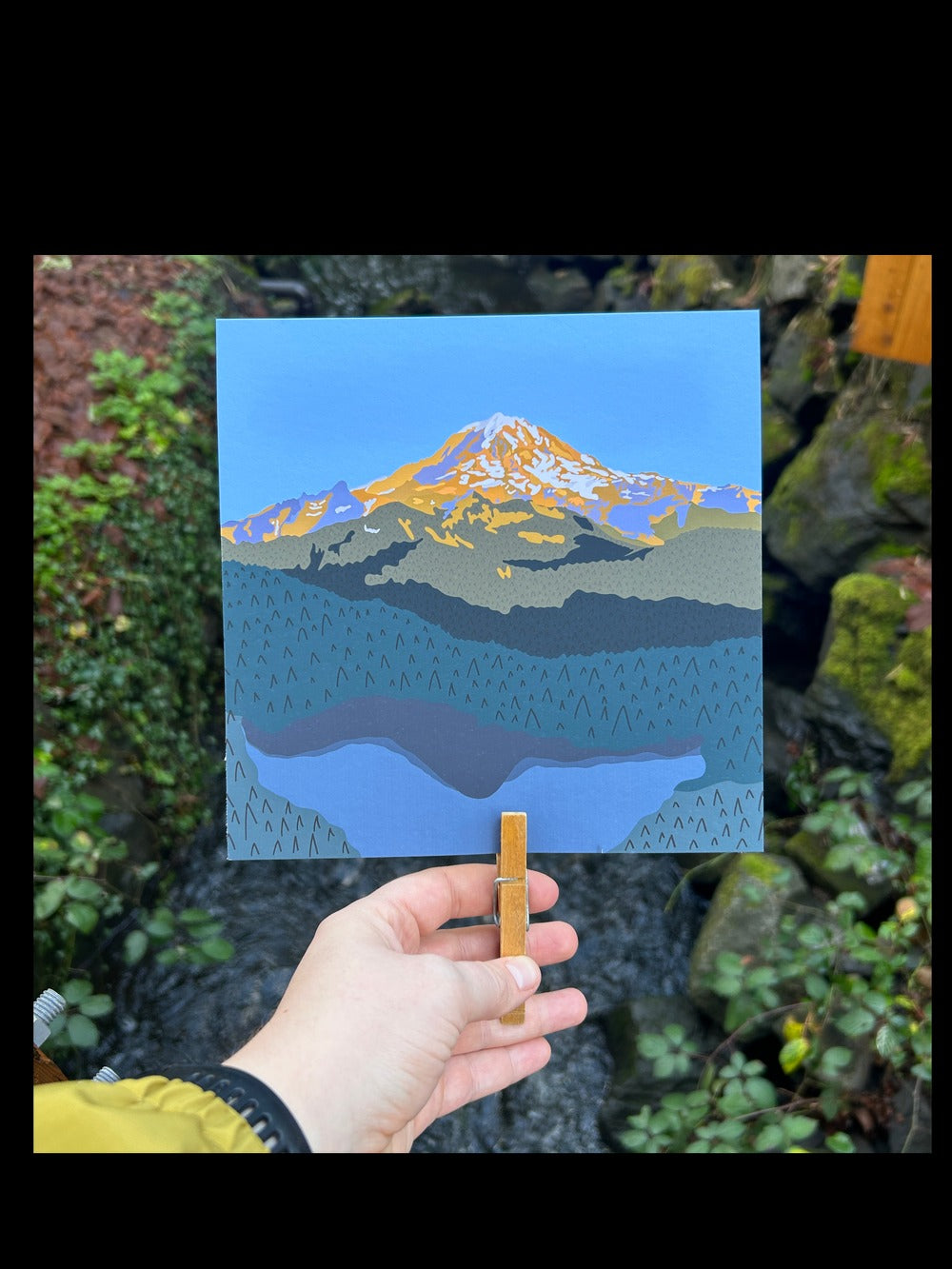 Tolmie Peak Print