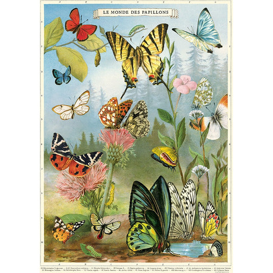 Butterflies Poster