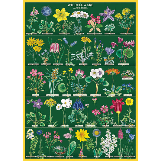 Language of Flowers II Poster
