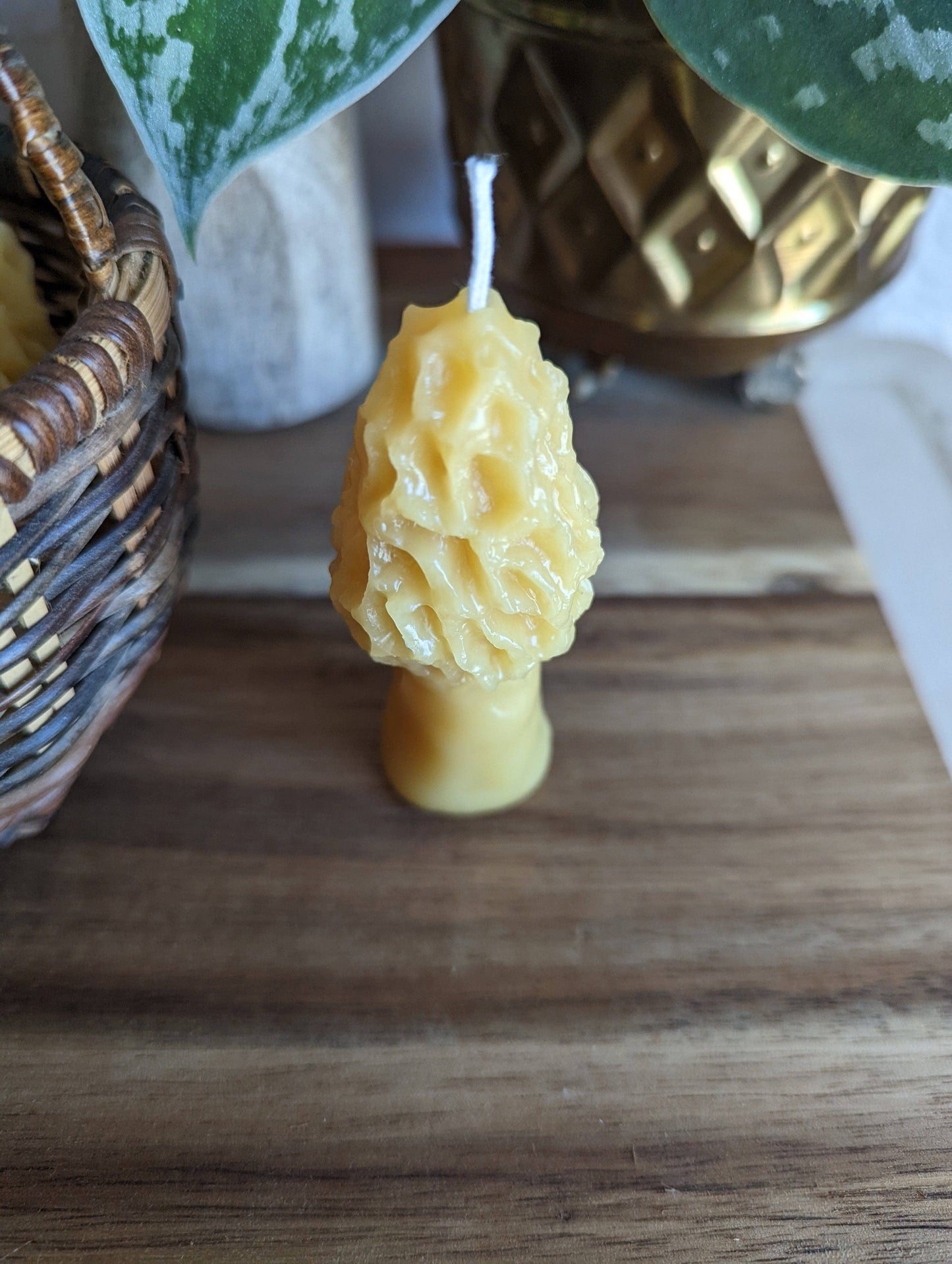 Mini Morel Beeswax Candle