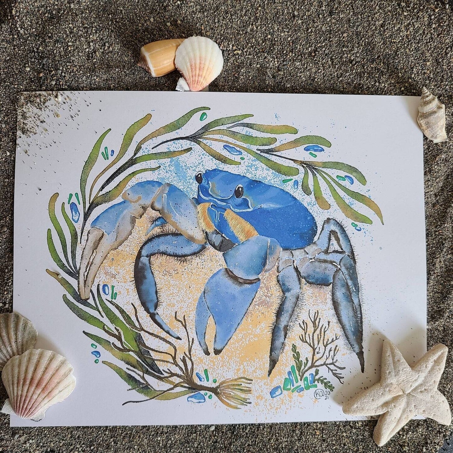 Blue Crab Botanical Print
