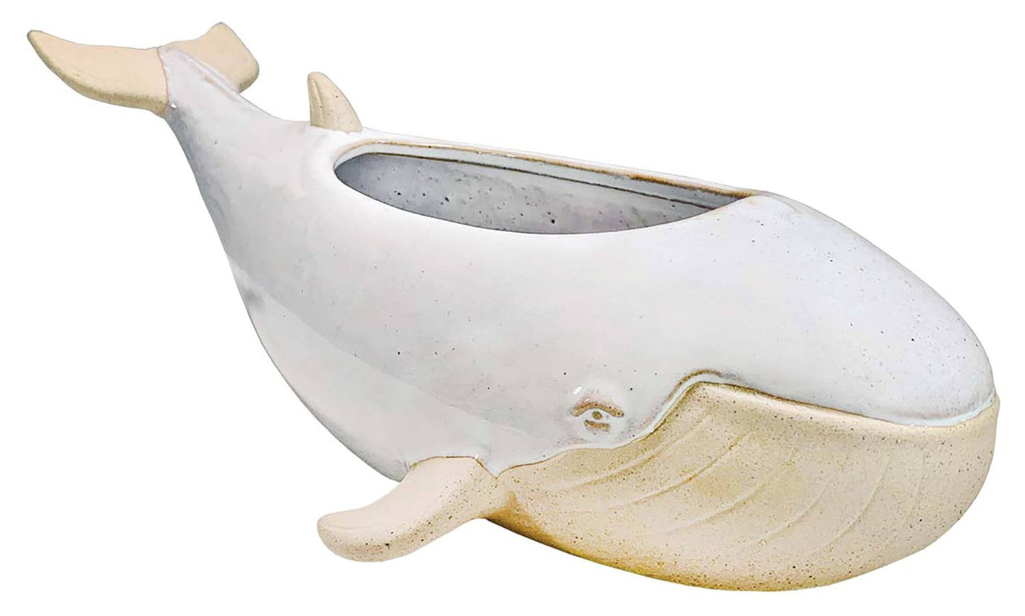 Whale Planter