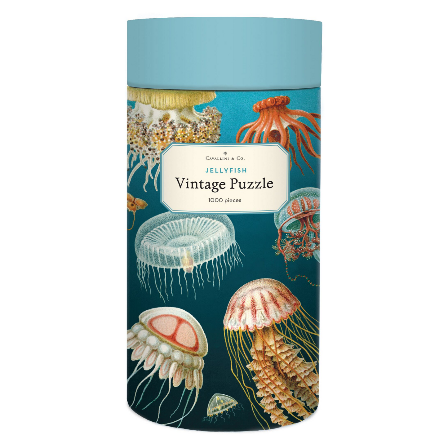 Jellyfish 1,000 Piece Puzzle