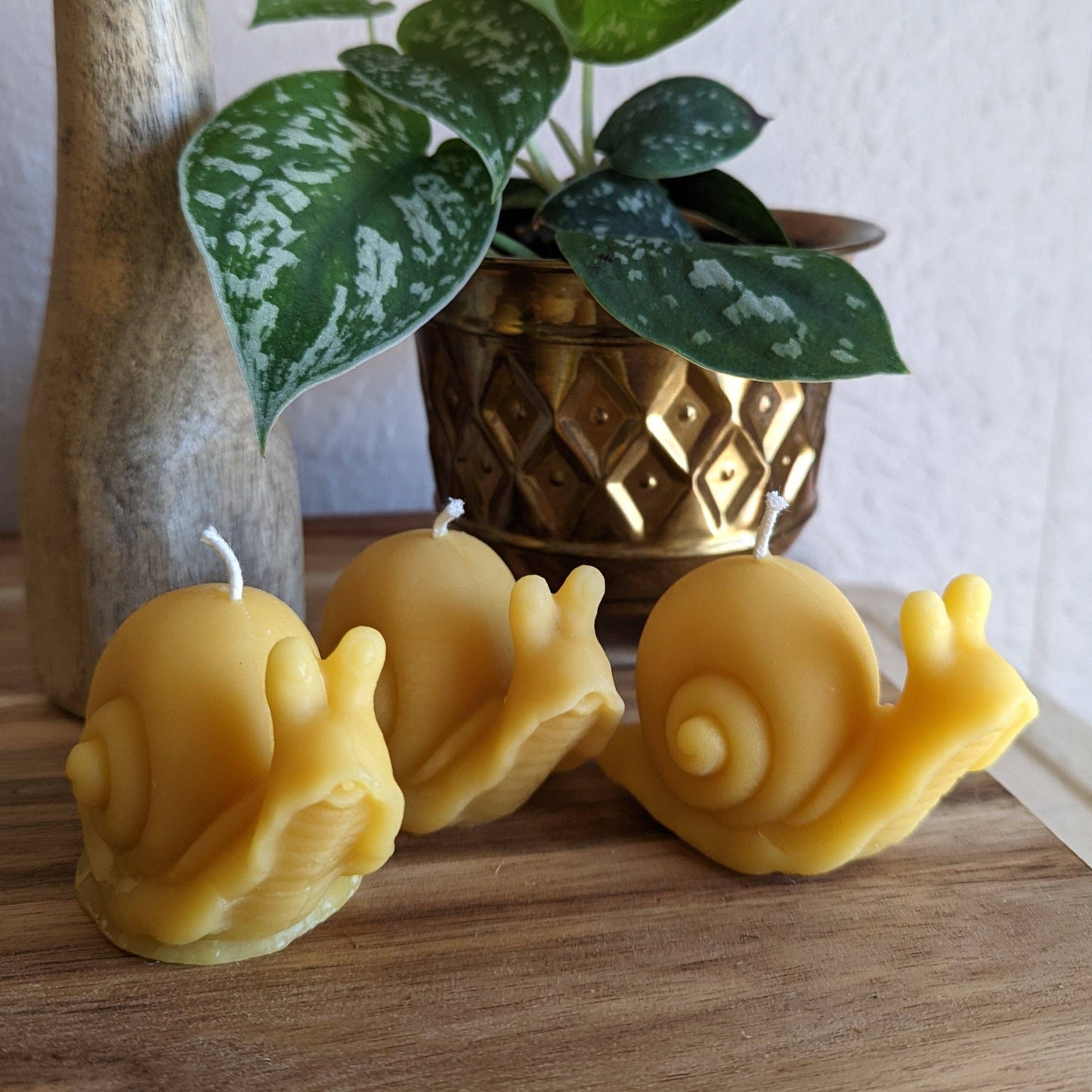Snail Beeswax Candle
