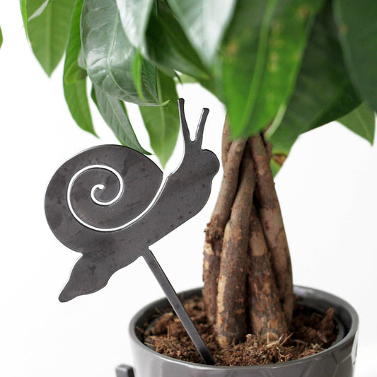 Snail Plant Stake