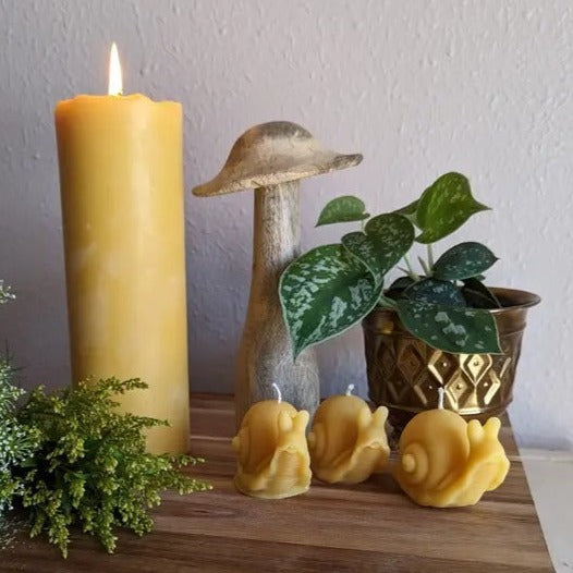 Snail Beeswax Candle