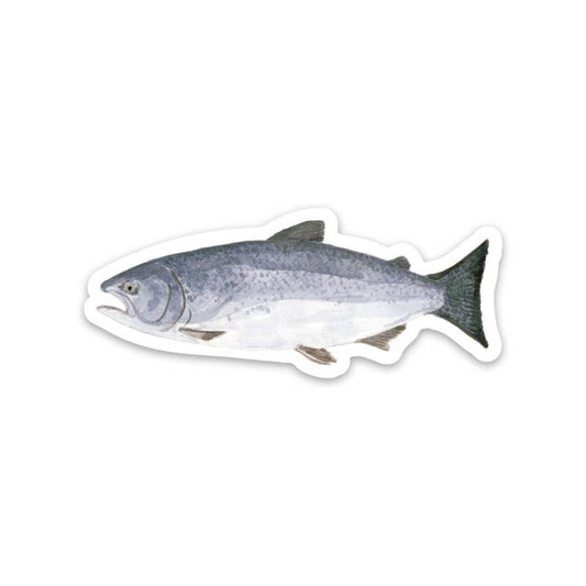 Chinook Salmon Sticker