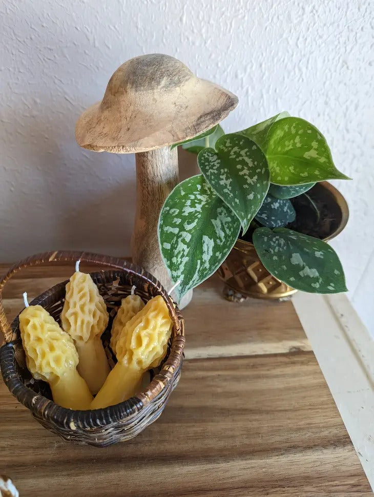 Mini Morel Beeswax Candle