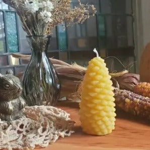 Pinecone Beeswax Candle - Medium