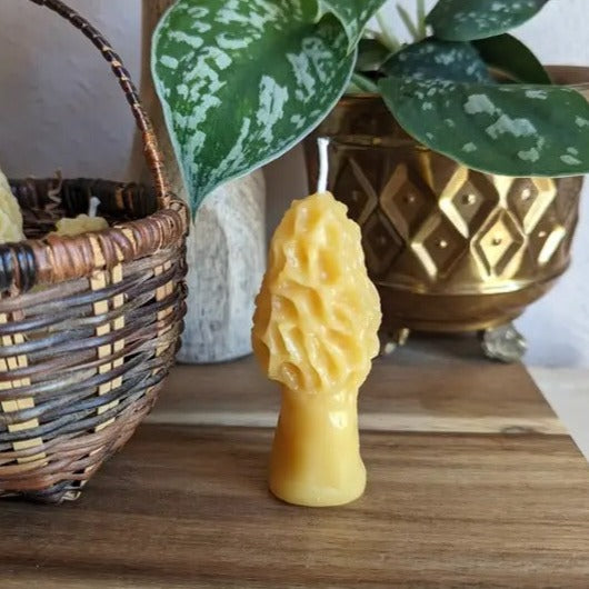 Mini Morel Beeswax Candle