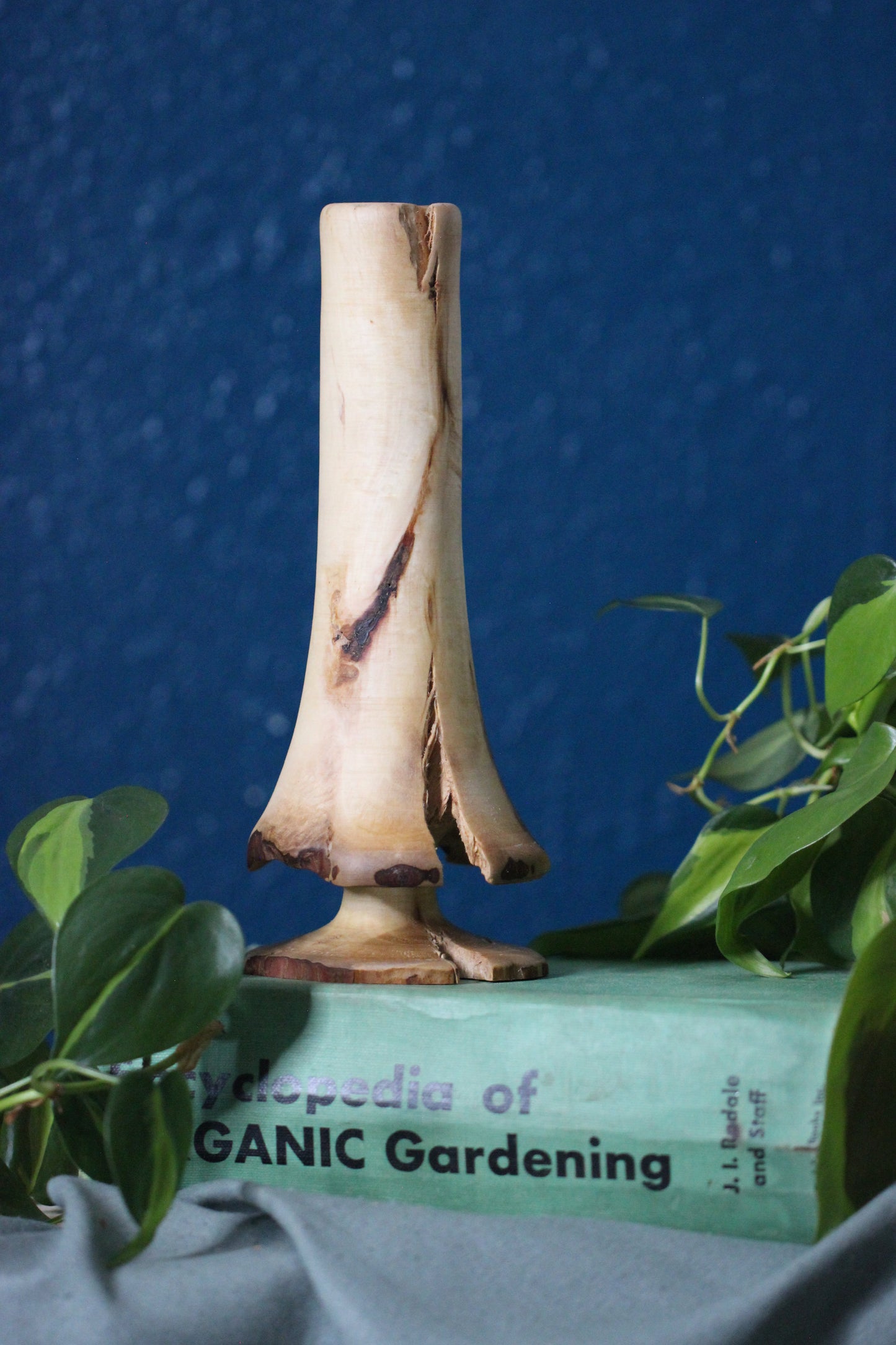 Arbutus Unedo Wooden Mushroom #94