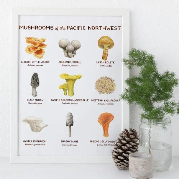 Mushrooms of the Pacific Northwest Art Print