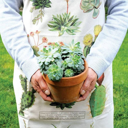 Succulents Vintage Apron