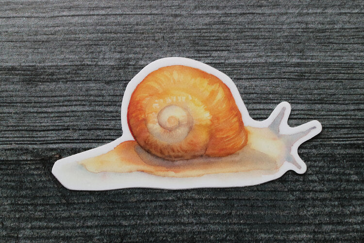 Snail Sticker