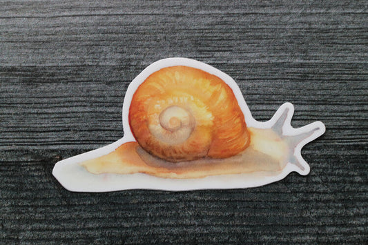 Snail Sticker