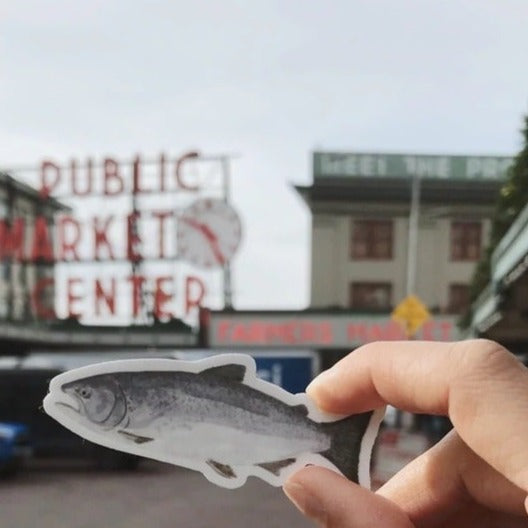 Chinook Salmon Sticker