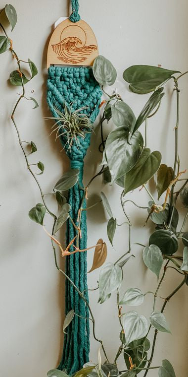 Ocean Waves Macrame // Air Plant Holder